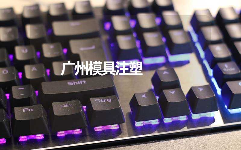 广州模具注塑 